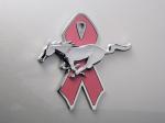 Ford Mustang Warriors in Pink 2008 года